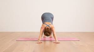 Arm Rotation In Downward Facing Dog Ekhart Yoga
