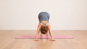 Check spelling or type a new query. Arm Rotation In Downward Facing Dog Ekhart Yoga
