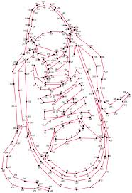 Dot to Dot — Knight Features