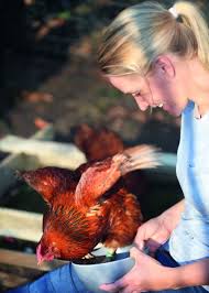 Im interview spricht sie über ihre kleine farm am hamburger stadtrand. Judith Rakers Glucklich Auf Dem Land