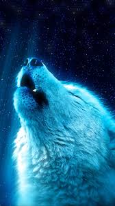 Download from a curated selection of animal wallpapers for your mobile and desktop screens. Wolf Animal Wallpapers Wallpaper Cave