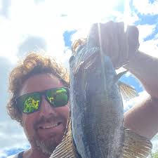 ᐅ Swan Pond Brook fishing reports🎣• Saco, ME (United States) fishing