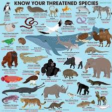 Pin On Do You Know Your Animals
