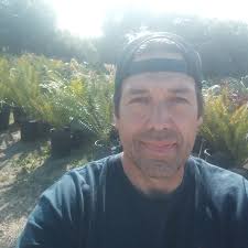 Why is my 2004 Subaru WRX overheating and leaking coolant?