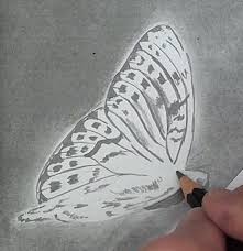 Once you decide to draw a butterfly, wouldn't you just love to draw the most beautiful one? How To Draw A Butterfly On A Flower Online Art Lessons