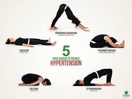 Pin On Yoga Haarlem