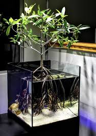 Pin By Gulcin Aksu On Planter Aquarium Aquarium Design Indoor Water Garden