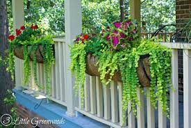 Create beautiful flower boxes and display them on railings, hold the window boxes using brackets or metal. Best Plants For Hanging Baskets By 3 Little Greenwoods 3 Little Greenwoods Plants For Hanging Baskets Porch Plants Hanging Plants