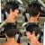Womens Short Hair 2019