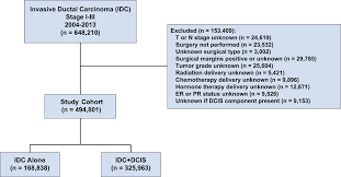 The cancer may have spread to lymph nodes within the breast or under the arm. Overall Survival Is Improved When Dcis Accompanies Invasive Breast Cancer Scientific Reports