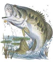 If you know how to fish, you know how to run a business. 14 Fish Ideas In 2021 Fish Fish Art Fish Drawings