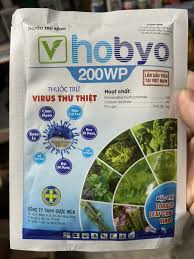 Hobyo 200WP