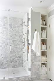 Cabinet Next To Shower With Glass Door Basement Bathroom Remodeling Bathrooms Remodel Small Bathroom