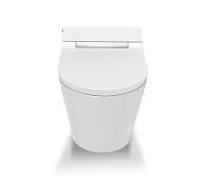 Wholesale CE certificate shower seat douche Japanese bidet ...