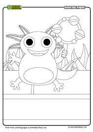 And on this set of free birds coloring pages for children, you will find a lot of different species from different countries and continents. True Or False Coloring Pages Learny Kids