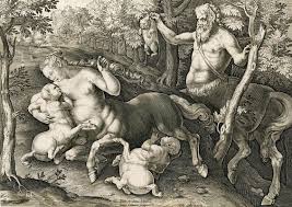 Image result for Zeuxine stammleri