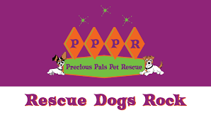 Find the best pet for adoption at the best pet ngo that rescued & sheltered 22,000+ dogs & cats. Adoption Application Precious Pals Pet Rescue
