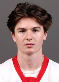 Luke Devlin Hockey Stats and Profile at hockeydb.com