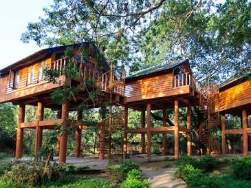 Treehouse accommodations on Bhavani Island, AI generated