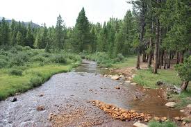 Drinking water, vault toilets, picnic tables and grills are provided. Campsites Beside Duck Creek