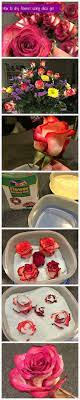 Saving My Roses Mohans Rule Dried Flowers How To Preserve Flowers Flower Crafts