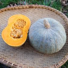 Feel free to add herbs if you wish! Winter Squash Blue Kuri Organic Adaptive Seeds