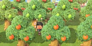 How about this bamboo fence idea? Animal Crossing New Horizons Switch Tree Guide Polygon