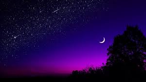 Silhouette Starry Starry Night Beautiful Meteors Falling Stars Falling Star Tree Midnight Crescent Night Sky Wallpaper Beautiful Wallpaper Hd Purple Sky