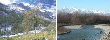 Piccoli cartelli verdi informano che siamo nel territorio della riserva naturale della vauda, la più trascurata del sistema delle aree protette del piemonte. Parco Del Po Piemonte