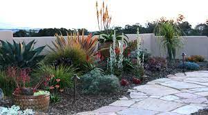 We did not find results for: 10 Spectacular Flowering Succulents