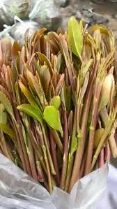 شغلت السيارة وشليت المره والجهال وطلعنا. Asparagus Food Vegetables