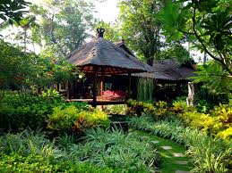 Southeast Asia Garden Garden Landscape Balinese Garden Tropical Garden Jungle Gardens
