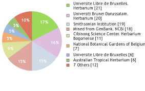 Image result for Cleistanthus polystachyus