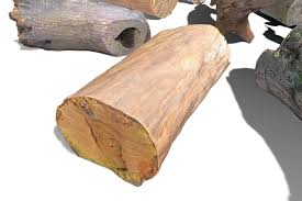 13 Tree Logs Tree Logs 3d Tree Low Poly 3d Models