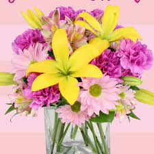 We did not find results for: Flowers By Mendez Jackel Home Facebook