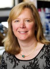 UASOM Faculty Profiles