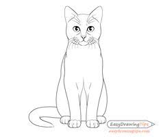 Below the center, we place another auxiliary line. 17 Drawings Ideas Drawings Cat Drawing Tutorial Cat Steps