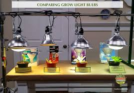 Grow Lights For Beginners Start Plants Indoors The Foodie Gardener