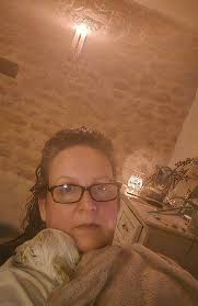 Dog's daily adventures and struggles