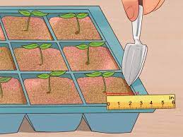 Check out 10 of the best plants to grow from seed for colourful cut flowers. How To Grow Flowers From Seed With Pictures Wikihow