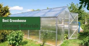 What You Need To Know About Greenhouse Insulation In 2020 Best Greenhouse Diy Greenhouse Greenhouse