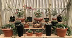 Plant yourself in one of los angeles' premiere nurseries, where life in the urban jungle takes a backseat to a tranquil but uplifting shopping experience. La Succulents Plant Nursery In Los Angeles Home Facebook