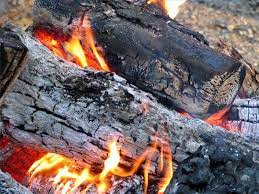 Check spelling or type a new query. How To Build A Fire Pit Out Of Leftover House Brick Homesteady Garden Compost Lawn And Garden Plants