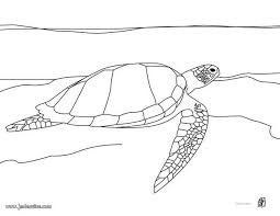 Coloriage Realiste D Une Tortue Marine Nageant Dans L Eau Un Coloriage Ludique Pour En Apprendre Plus Aux Enfants Coloriage Coloriage Animaux Coloriage Tortue