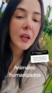 Humanizar los animales #animalidad #bienestaranimal #recuerdos #parati