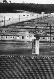 Tens of thousands of the more than 200,000 prisoners interned here died as a result of hunger, disease, forced labour and mistreatment or were victims of systematic extermination operations by the ss. Where Birds Never Sang The Ravensbruck And Sachsenhausen Concentration Camps Films For Thoughtfilms For Thought