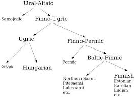 finno ugric language cradle of civilization genealogy