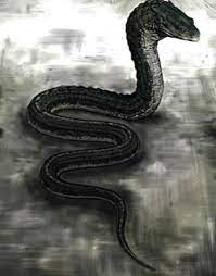 Images Of Basilisks Basilisk Harry Potter Harry Potter Creatures Harry Potter Wiki