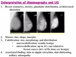 Image result for Mammogram Interpretation