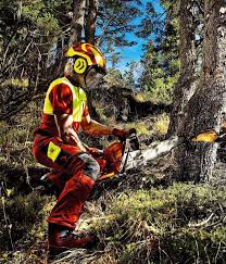 Bei Strohmeier Gibt Es Profikleidung Fur Arbeit Mit Der Motorsage Perfekt Geschutzt Mit Pfanner Kleidung Und Protos Schutzhe Schnittchen Baum Fallen Holzernte